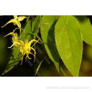 Pure Natural Chinese Herbal Epimedium Extract With 98% Icar